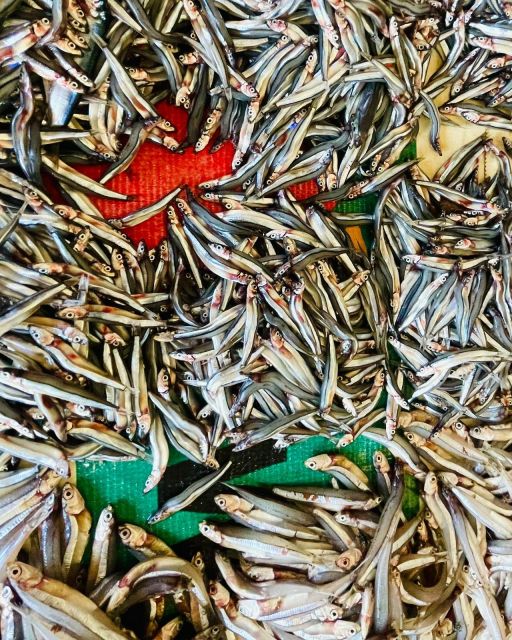 Olhão Fish Market & Food Tour - The strongest part of the experience