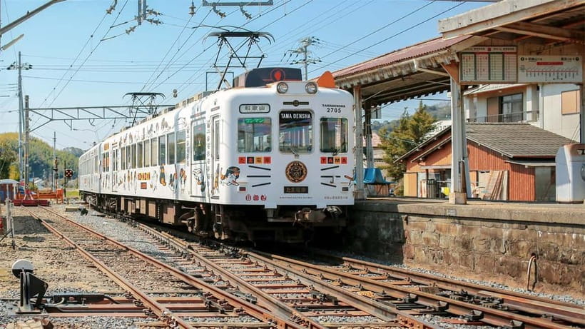 Osaka: Wakayama Cat Train, Seafood market, Hot Springs Tour - From Nipponbashi to Wakayama’s cat station