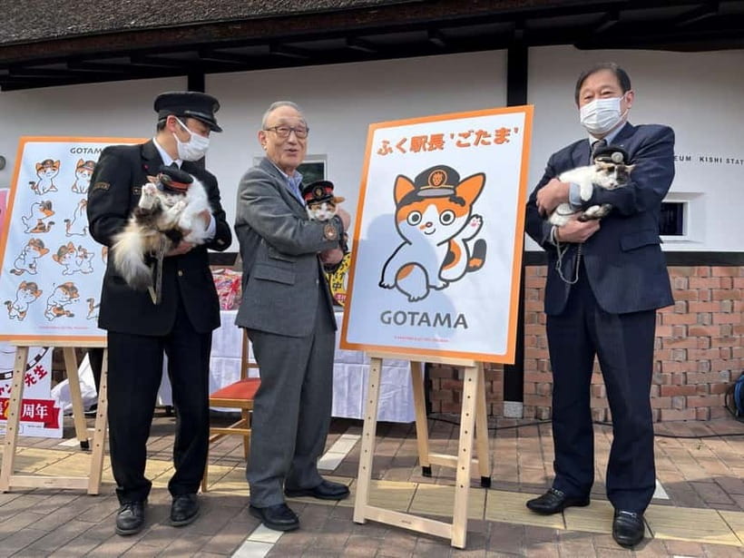 Osaka: Wakayama Cat Train, Seafood market, Hot Springs Tour - ToreTore Ichiba: tuna, lunch, and local shopping