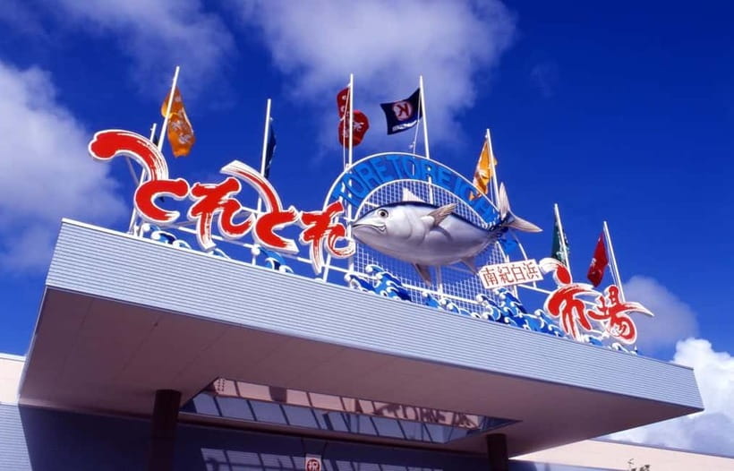 Osaka: Wakayama Cat Train, Seafood market, Hot Springs Tour - What to bring and how to prepare