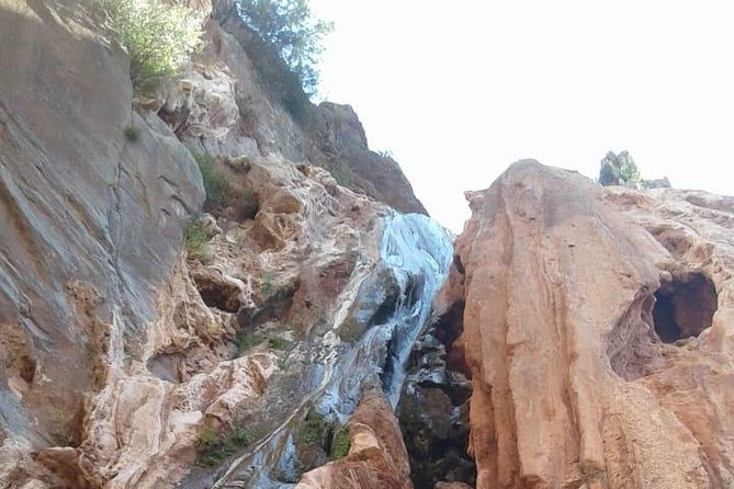 Paradise Valley excursion + local Breakfast + berber Market - Berber breakfast with amlou and argan oil