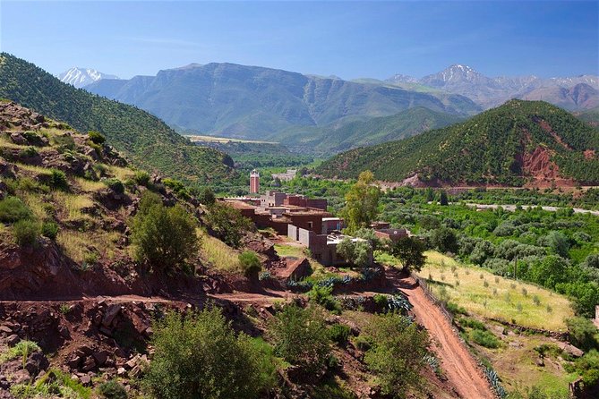 Paradise Valley excursion + local Breakfast + berber Market - Mint tea and a look at local life