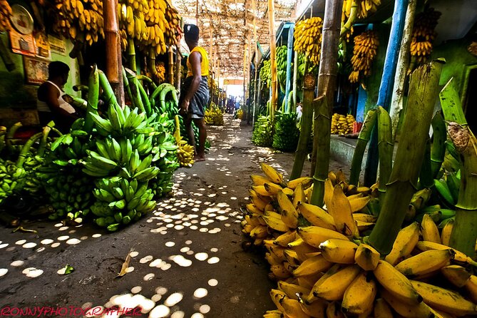 Paradise Valley & Gorge Adventure with Souk & Transfer - The souk and shopping element