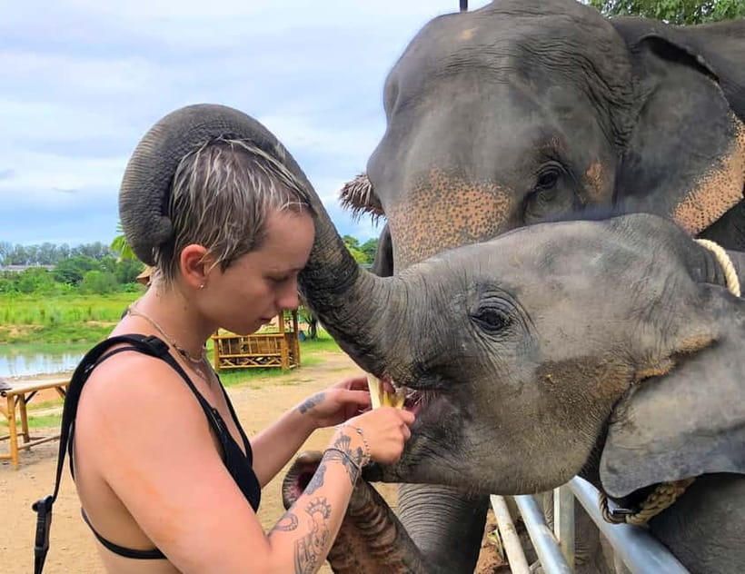 Phuket City Tour with Night Market Visit & Elephant Feeding - Key points at a glance