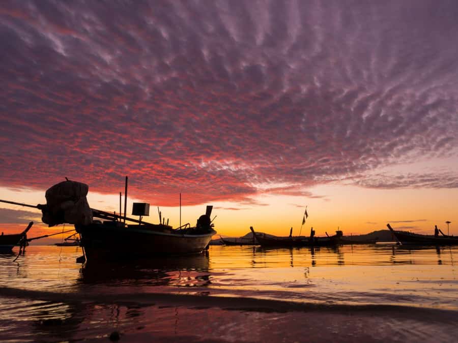 Phuket: Sunset View and Seafood Market Dinner Guided Tour - How the price compares with a standard Phuket evening