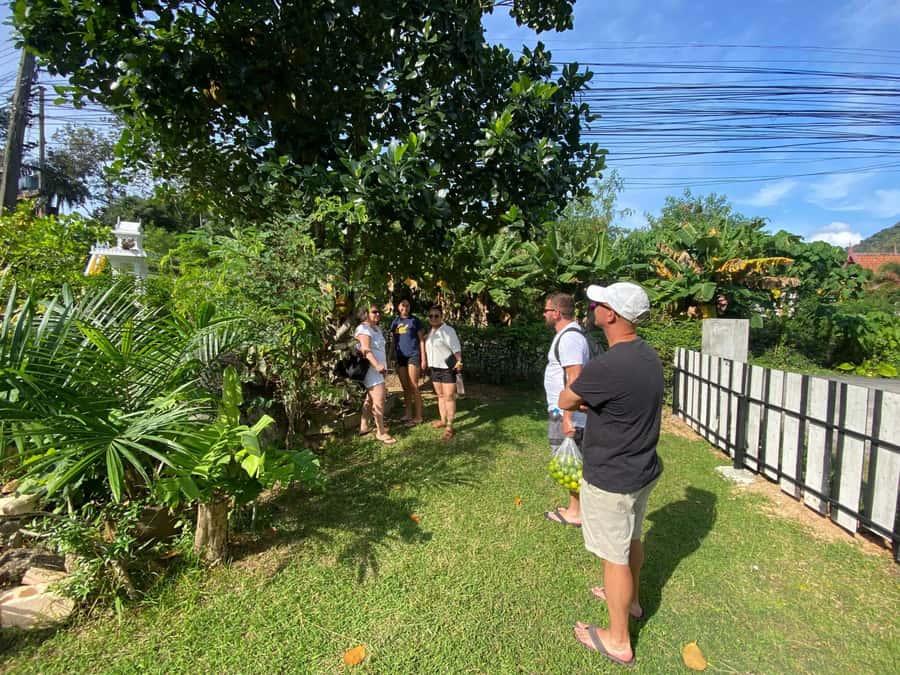 Phuket: Thai Cooking Class with Market Tour - Pickup, timing, and group size