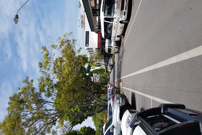 Port Douglas Sunday Markets Day Tour - Two hours at Port Douglas Sunday Markets
