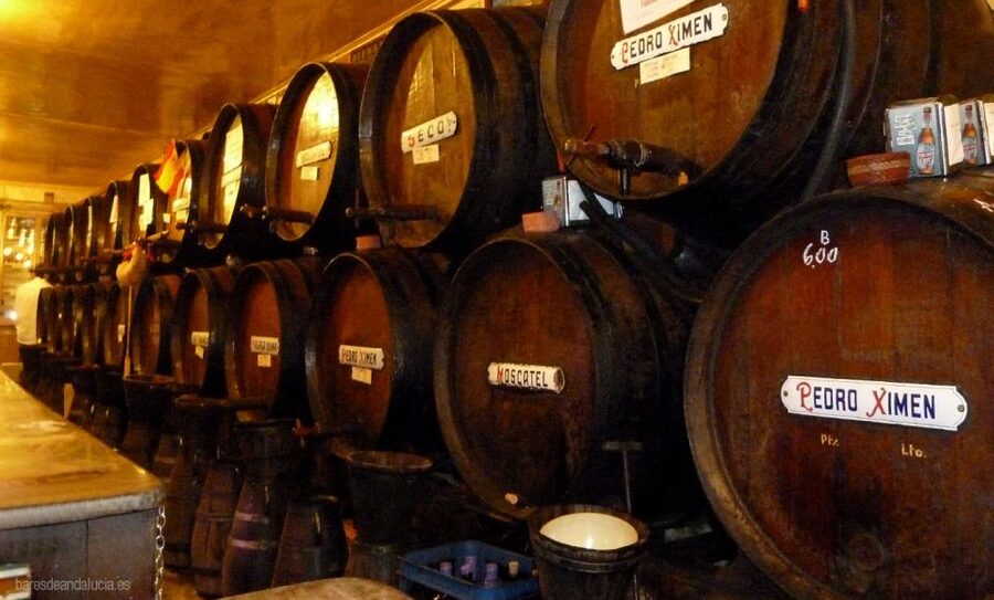 PREMIUM TAPAS TOUR: Paella, Market Tastings, and Winery - Who should book it