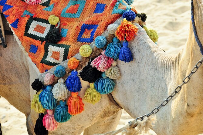 Private Day Tour of Giza Pyramids, Egyptian Museum, and Bazaar" - An hour at Khan el-Khalili