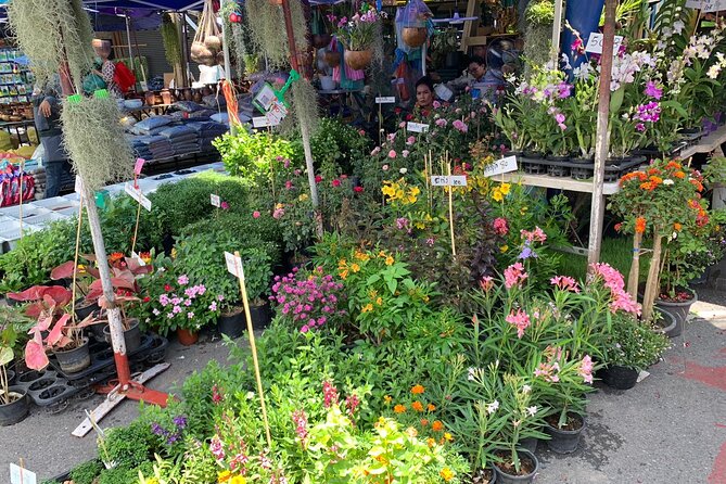 Private Exclusive Guided Chatuchak Weekend Market Shopping Tour - Who will enjoy this half-day outing?