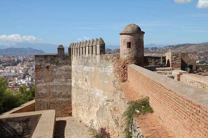 Private Malaga: Alcazaba, Museum, Market, Cathedral & Picasso - Key points to know before booking
