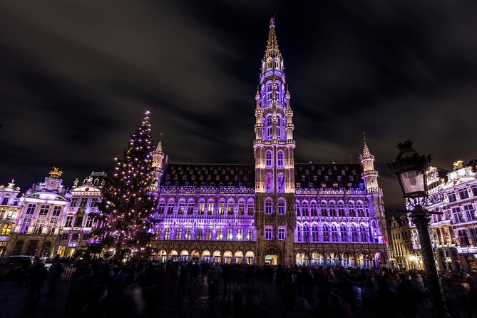 Private tour : Christmas market in Brussels - Manneken Pis and the historic center