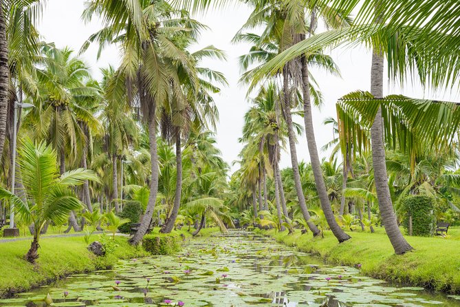 Private Tour: Floating Markets and Suan Sampran Day Trip from Bangkok - What the day requires from you