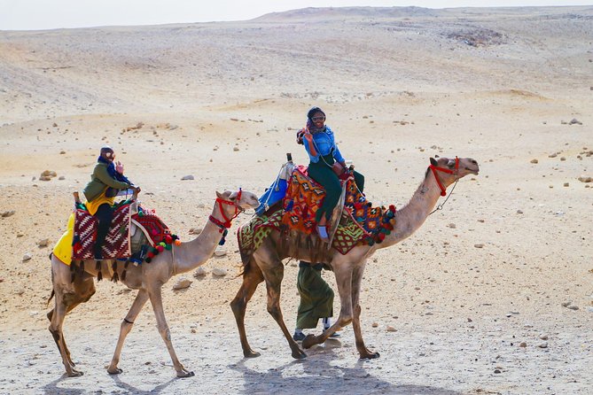 Private tour to Giza pyramids,sphinx,museum,market& lunch - Meeting the Great Sphinx and Valley Temple
