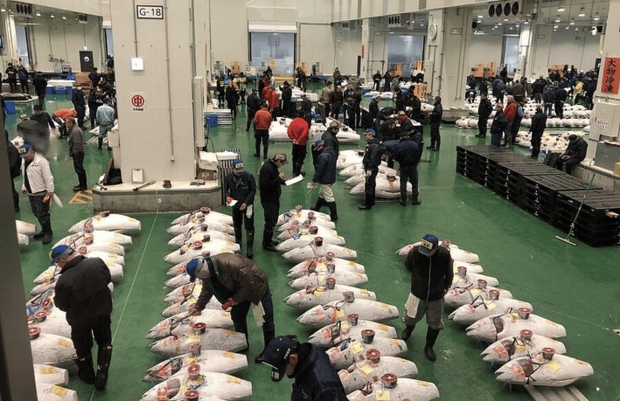 Private Toyosu & Tsukiji Market Adventure with Tuna Auction - Key points at a glance