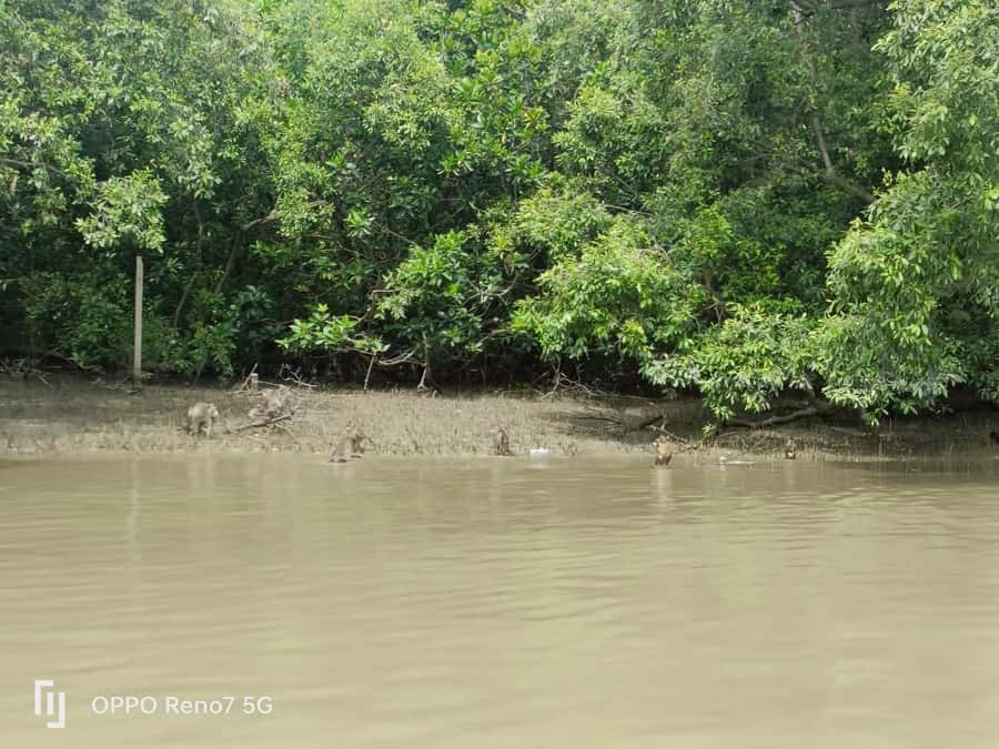 Private Unseen Mangrove Forest and Floating & Railway Market - Leaving Bangkok for the mangrove waterways