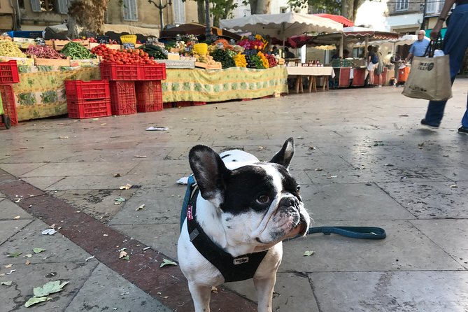 Provençal Farmers market tour - Timing, pace, and the 10 a.m. start
