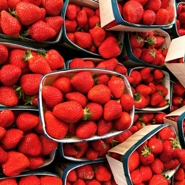 Provencal Market Walking Tour with Tastings - Tastings that help you shop smarter