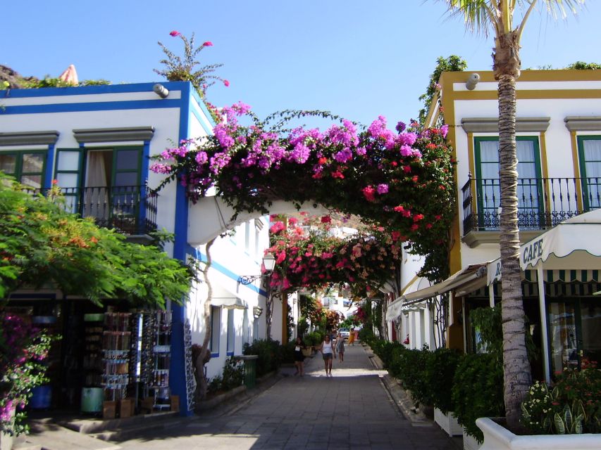 Puerto de Mogan: Friday Market Experience - Key points at a glance