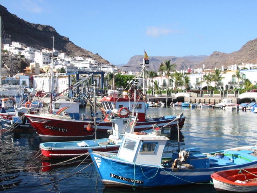Puerto de Mogan: Friday Market Experience - Who will enjoy this outing most
