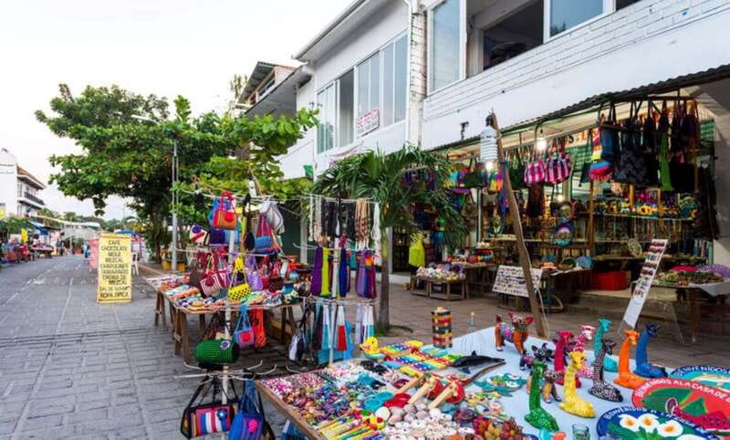Puerto Escondido: Boat Cruise and Market Visit - Seeing Puerto Escondido’s beaches from the boat