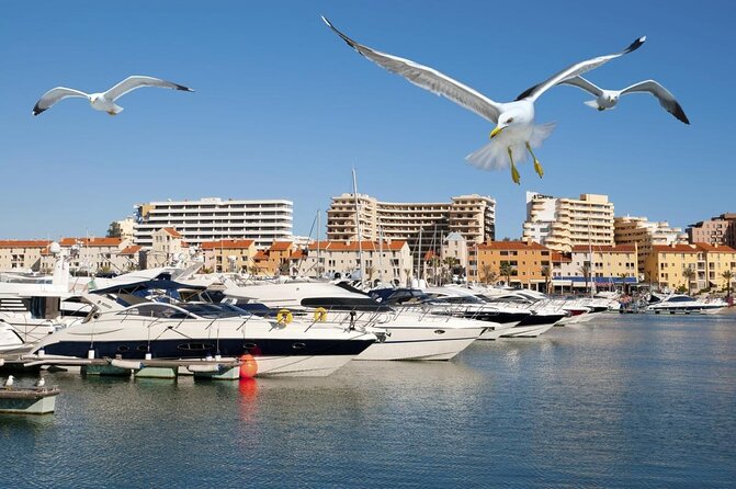 Quarteira Town & Gypsy Market Tour with Beach Bliss - What this Quarteira outing is really about