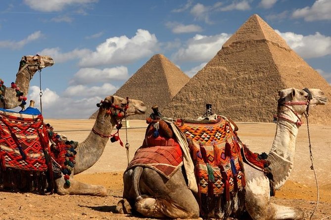 Quick Cairo Layover to Giza Pyramids, Museum, Bazaar from Airport - What the private guide adds to the day
