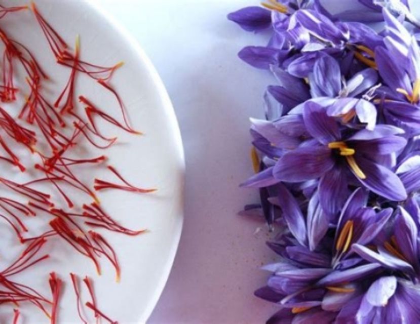 Recco: Cooking Class with Market Visit and Sea Views - Key points to know before booking