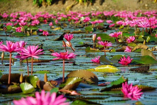 Red Lotus garden market with Thai culture halfday tour - Boarding the wooden long-tail boat