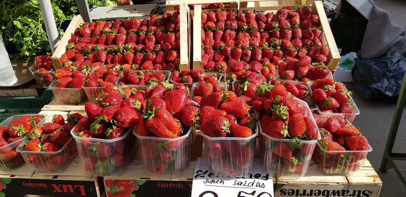 Riga: Central Market Latvian Food Tour - Who will enjoy it most?