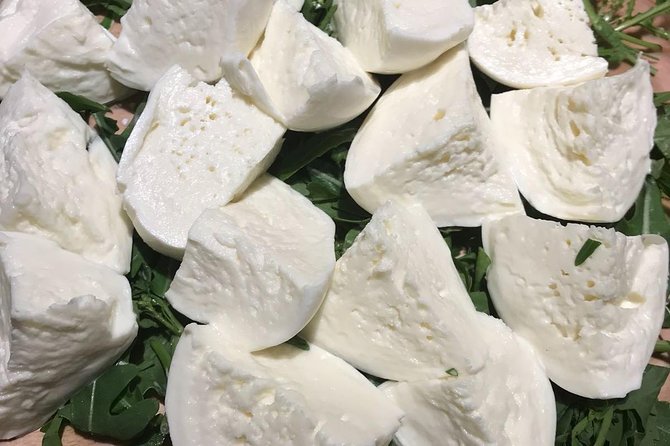 Roman Food Tour with Visit to the Trionfale Food Market - Mercato Trionfale, Rome’s working market