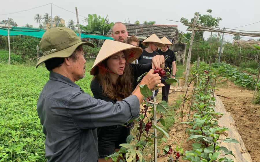 Rural Cycle, Market Tour, Basket Boat & Organic Farm Cooking - Meeting at the Hoi An Post Office