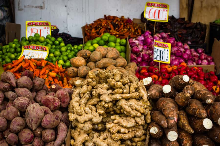 Santiago: Markets Bike Tour - Following Neruda to La Chascona