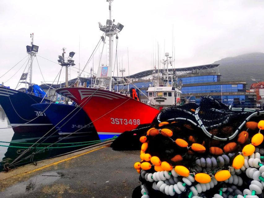 Santoña: Anchovy Art Gallery with Fishing Port and Market - Timing, Languages, and Cancellation