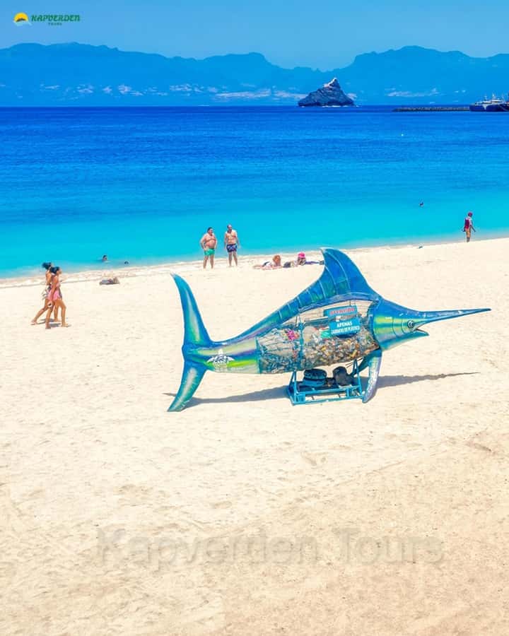 São Vicente: Markets, Mountains, Fishing Villages & Beaches - Starting at the Mindelo ferry terminal