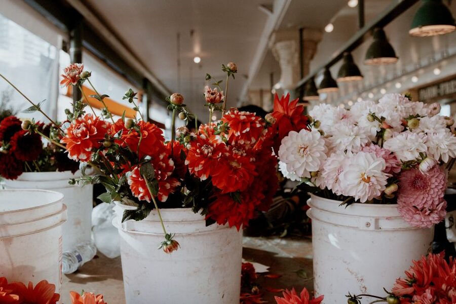 Seattle: Early-Bird Tasting Tour of Pike Place Market - Who will get the most from this tour