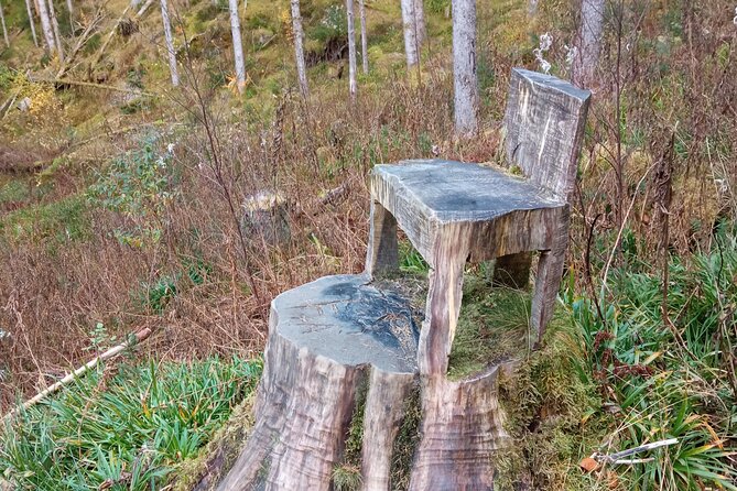 Self-Guided Hike from Bergen's Fish Market up Mount Fløyen - A Slide, a Giant Tree, and a Tiny Chair