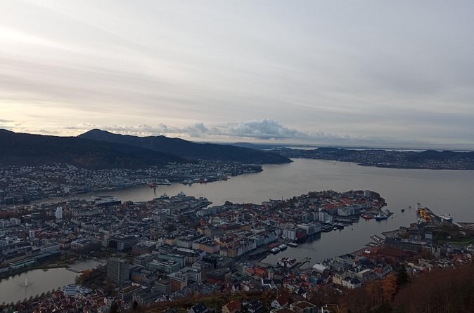 Self-Guided Hike from Bergen's Fish Market up Mount Fløyen - Goats and the Final Climb to Fløyen Panorama