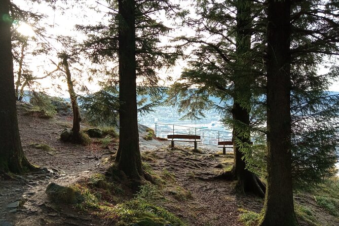 Self-Guided Hike from Bergen's Fish Market up Mount Fløyen - Reaching the Fløibanen’s Lower Station