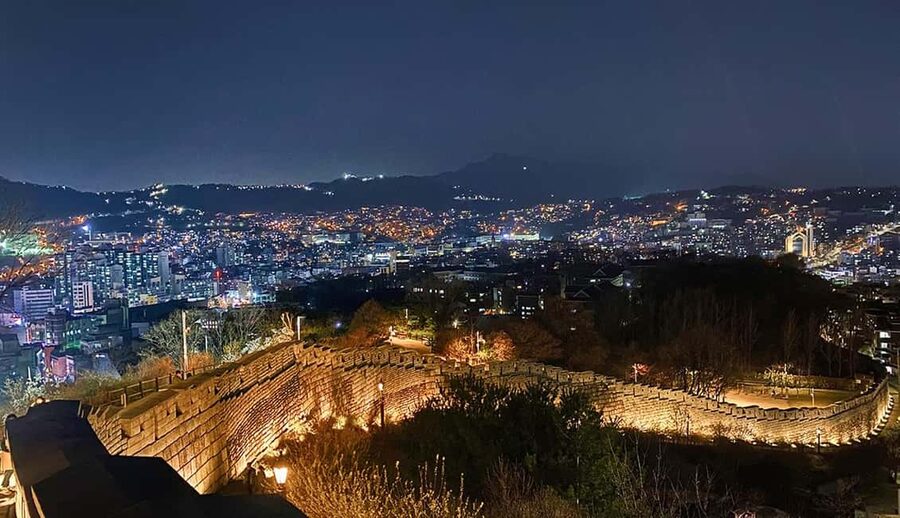 Seoul Day Tour: Gyeongbok Palace, Bukchon, Gwangjang Market - Naksan Park and the fortress walls