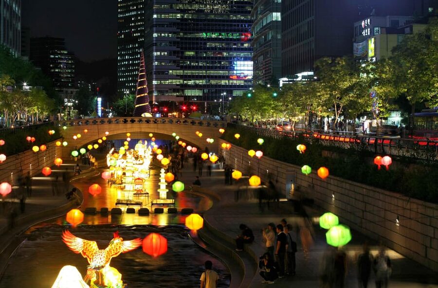 Seoul Gwangjang Market Foody Walking Tour - Is $40 a fair price?