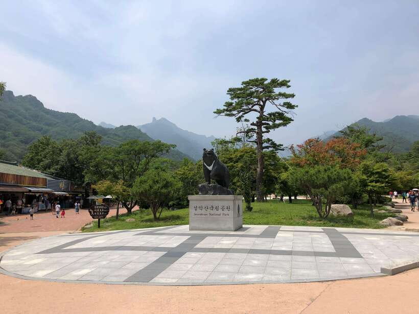 Seoul: Mt.Seorak(+CableCar Option)+Sokcho Fish Market&Beach - Why Seoraksan makes this a worthwhile day trip
