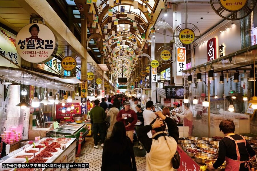 Seoul: Mt.Seorak(+CableCar Option)+Sokcho Fish Market&Beach - The guide can make a bad-weather day better
