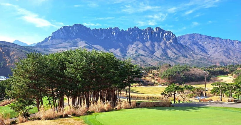 Seoul: Mt.Seorak(+CableCar Option)+Sokcho Fish Market&Beach - Who should book this outing