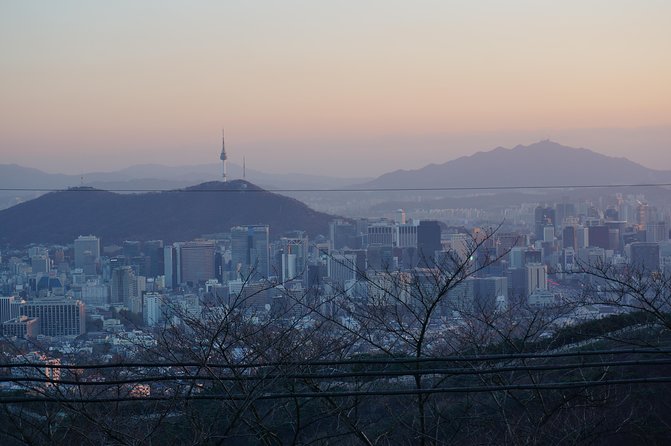 Seoul Night "Private Tour"(Korean BBQ, N-Tower, Seoul Fortress, Local Market) - N Seoul Tower, with a choice of how high to go