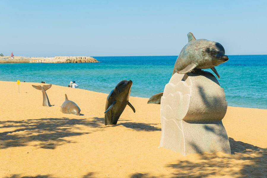 Seoul: Sokcho beach, market, hot spring and Seorak Cable Car - Who should book this experience