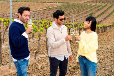 Setúbal: Winery & Fish Market Tasting Tour from Lisbon