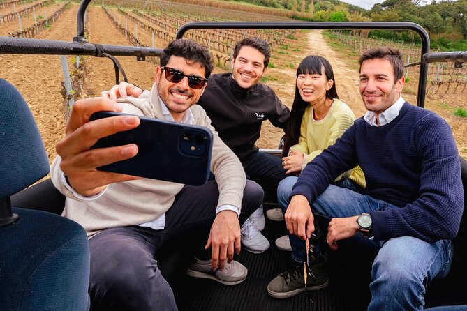Setúbal: Winery & Fish Market Tasting Tour from Lisbon - Who should book this Setúbal outing?