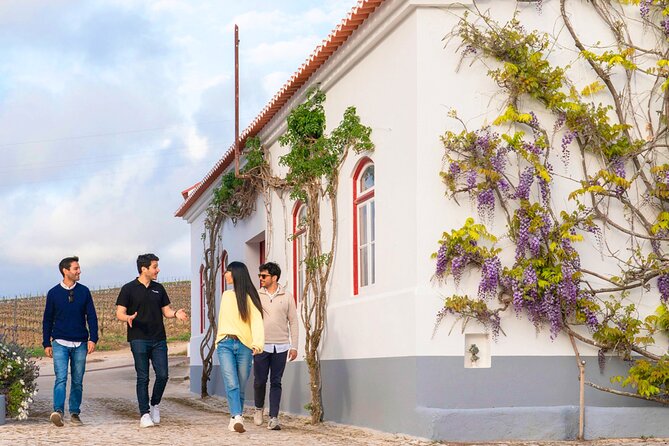 Setúbal: Winery & Fish Market Tasting Tour from Lisbon - Booking timing and practical preparation
