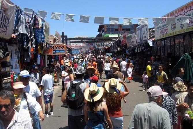 Shore Excursion: La Bufadora, Markets & Ensenada City Sights - The drive from the port takes real time